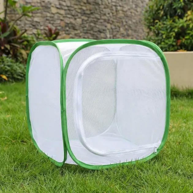 collapsible butterfly cage, collapsible insect cage, foldable insect cage